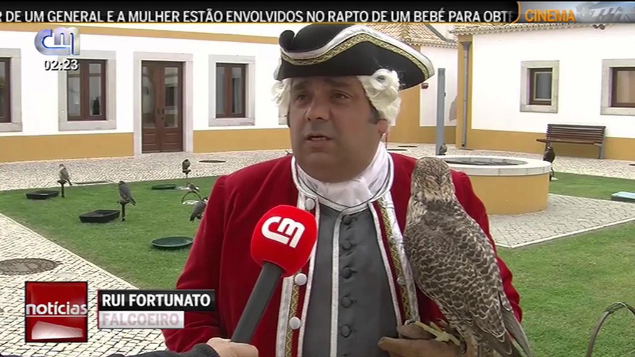 Falcoaria Patrimonio Imaterial da Humanidade - UNESCO CMTV