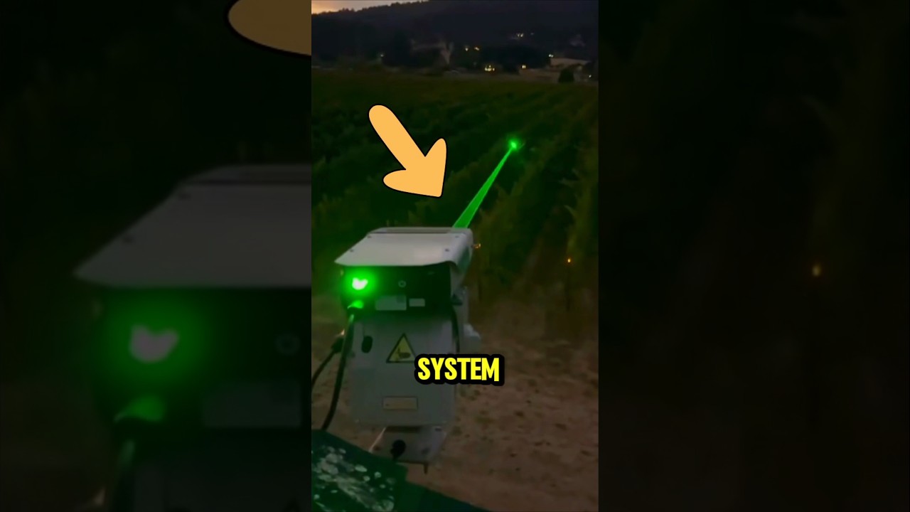 Automated Laser Bird Deterrent 🐦
