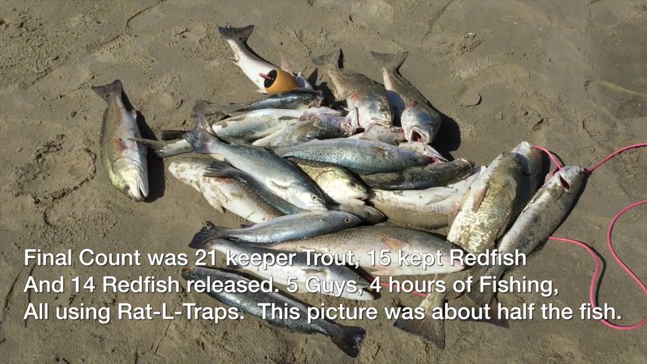 Искусственные приманки для ловли морского окуня, крапчатой ​​форели на побережье Мексиканского за...