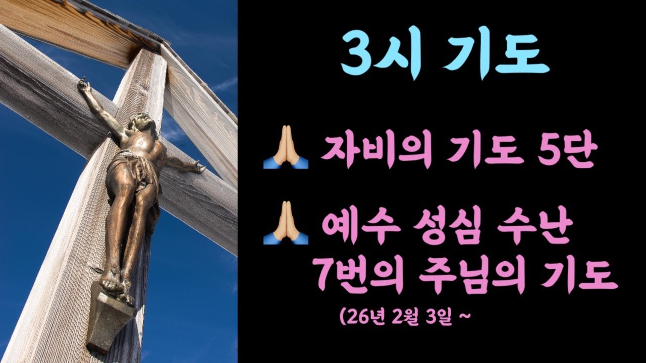 3시 하느님의 자비를 구하는 5단 기도ㅣ예수성심수난 12년 기도ㅣ7번의 주님의 기도  #세레나의치유의숲 #자비의기도 #7번의주님의기도 #성녀파우스티나 #성녀비르지타