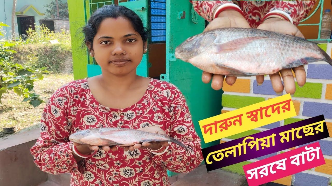 যারা তেলাপিয়া মাছ কখনো খেতে চান না তারা একবার এভাবে খেয়ে দেখুন খুব ভালো লাগবে #cooking video