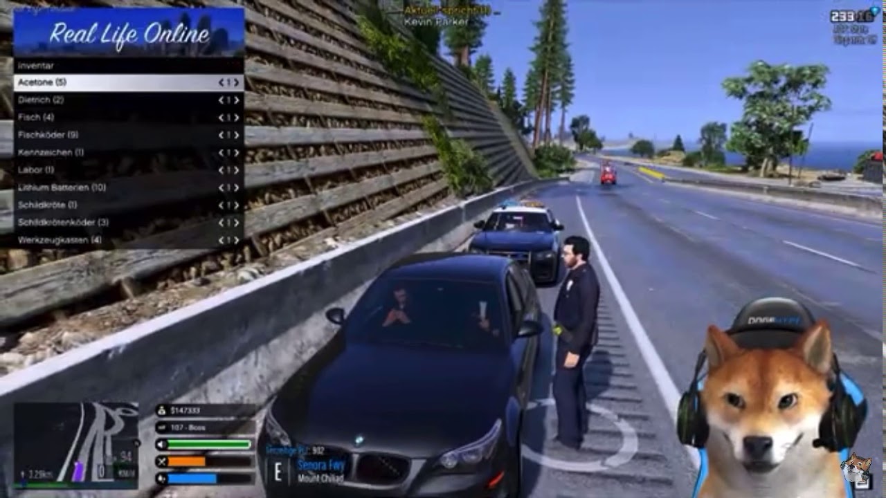 Csyon und Onearly reden mit der Polizei Englisch und veraschen sie😂 /GtaV Reallive Online
