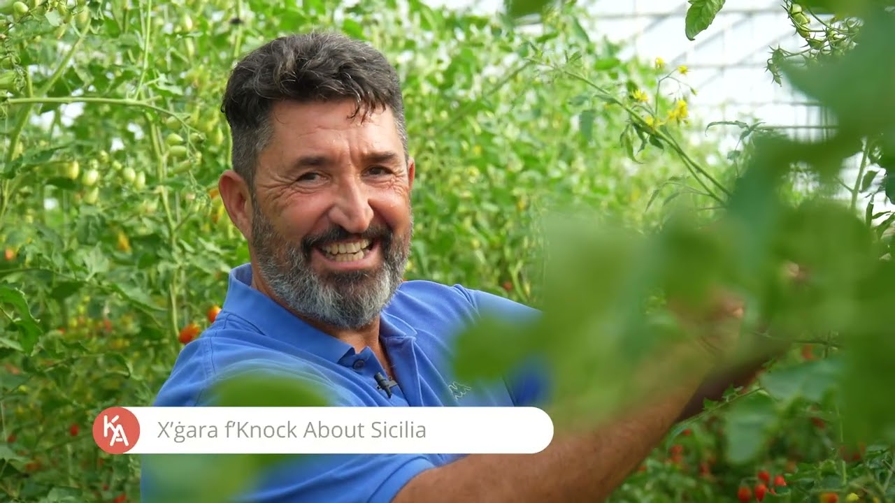 Knock About Sicilia - Pachino and its famous Cherry Tomato
