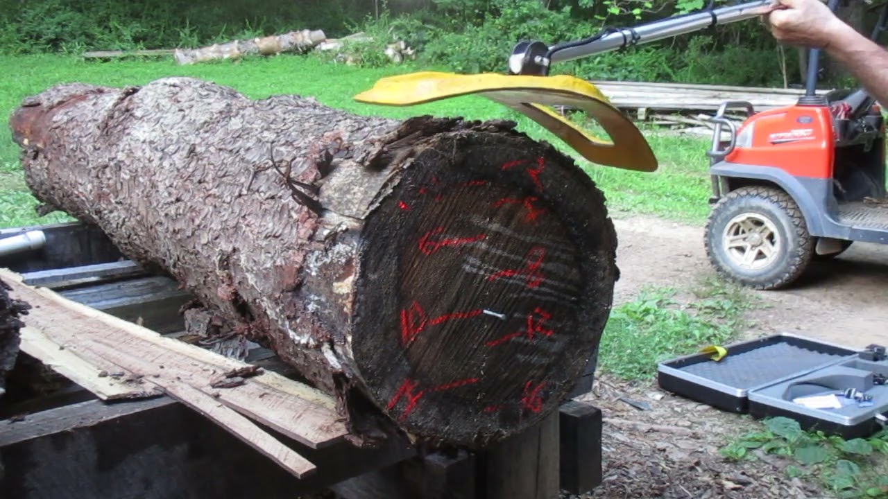 Sawmill log metal detector # 800