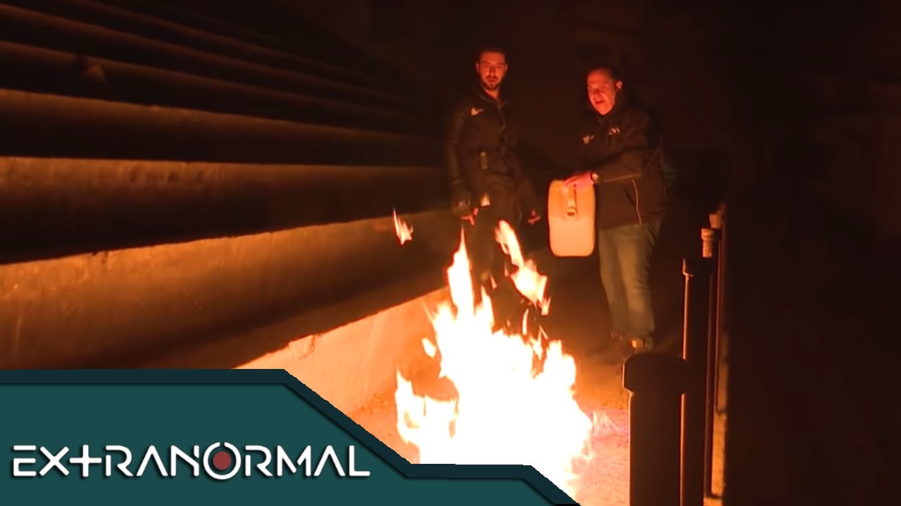 Secreto en la cineteca. | Extranormal