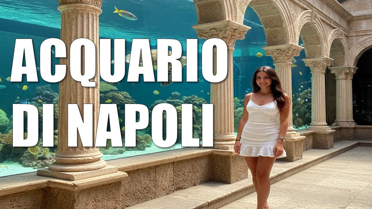 À la Découverte de l'Aquarium de Naples : Un Monde Sous-Marin Fascinant