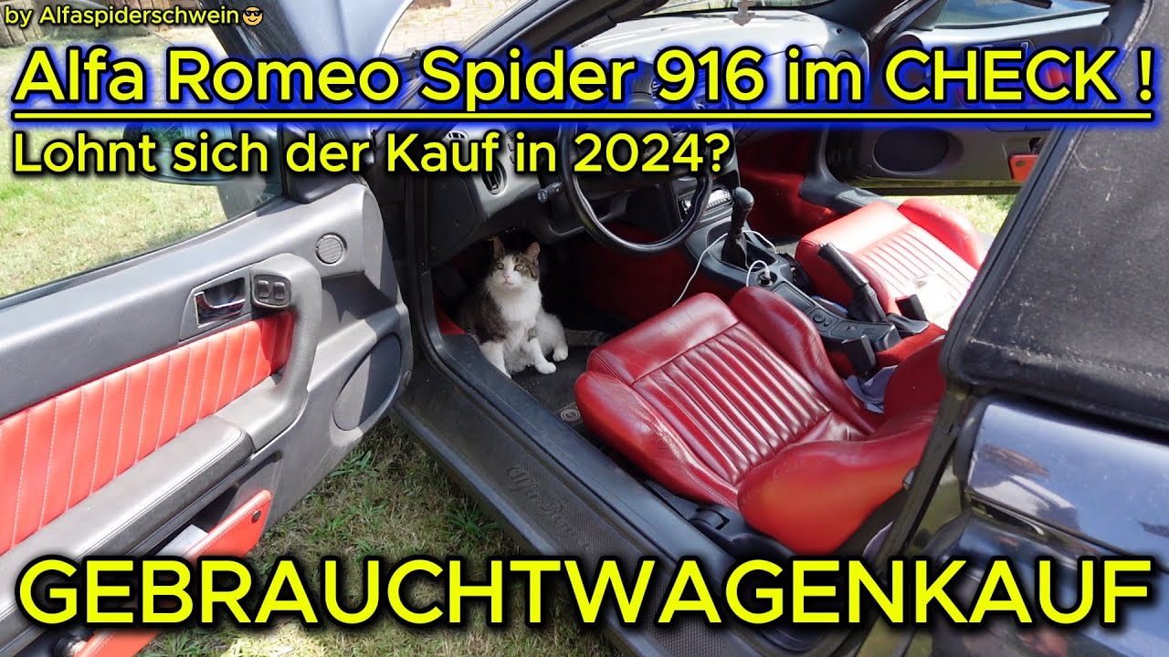 ALFA ROMEO SPIDER 916 im GEBRAUCHTWAGENCHECK 2024🍀SPASS - CABRIO mit OLDTIMER POTENTIAL ?