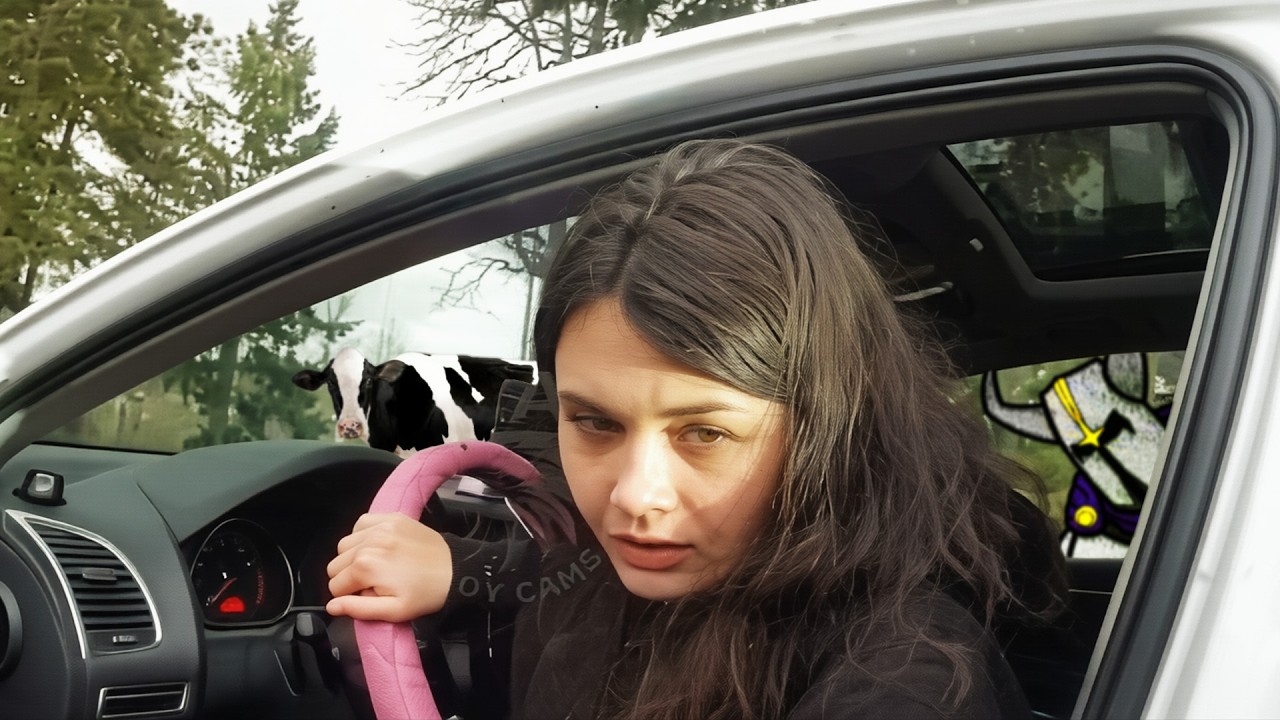 Probably the Stupidest Arrest I've Ever Seen Caught on Camera!