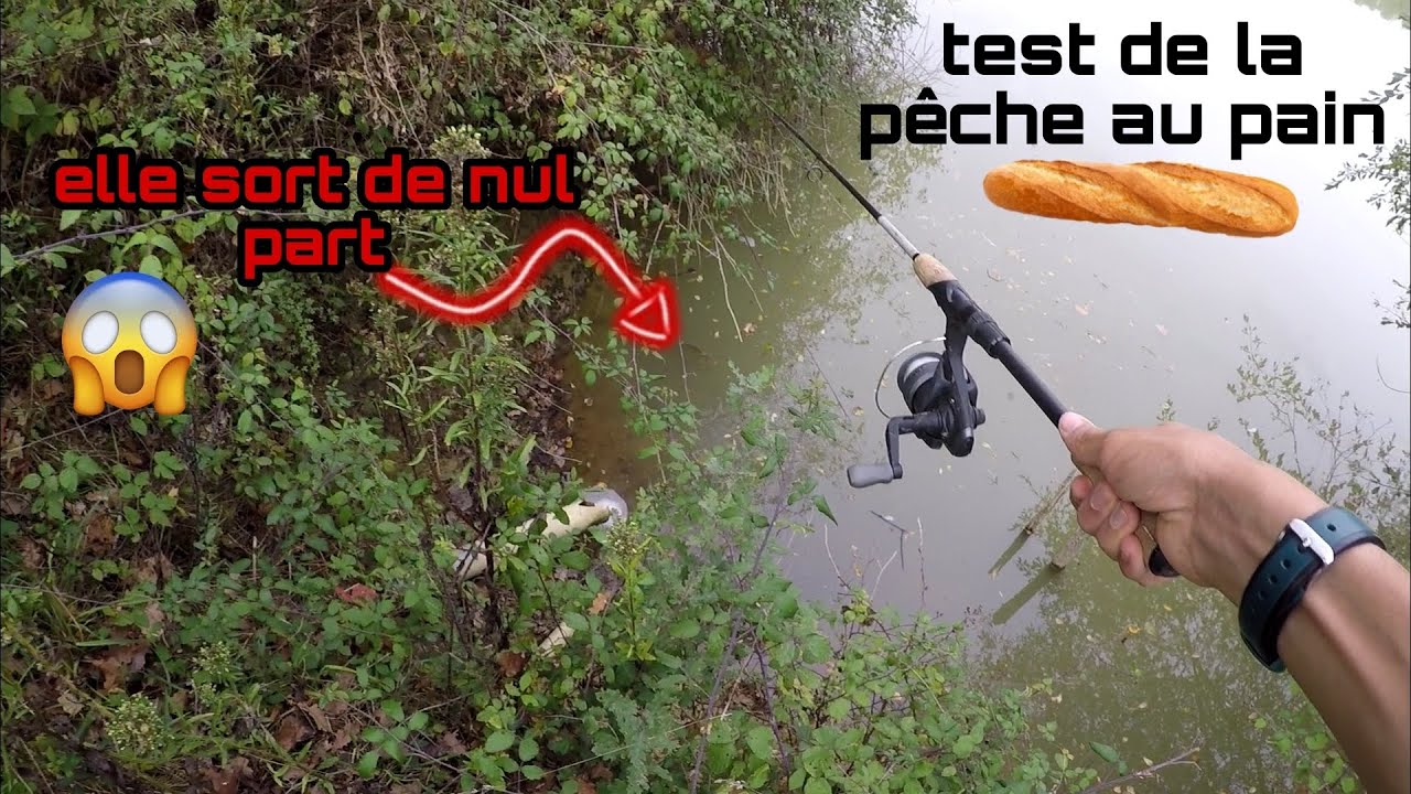 je PÊCHE la CARPE en SURFACE pour la PREMIÈRE FOIS (pêche au pain)