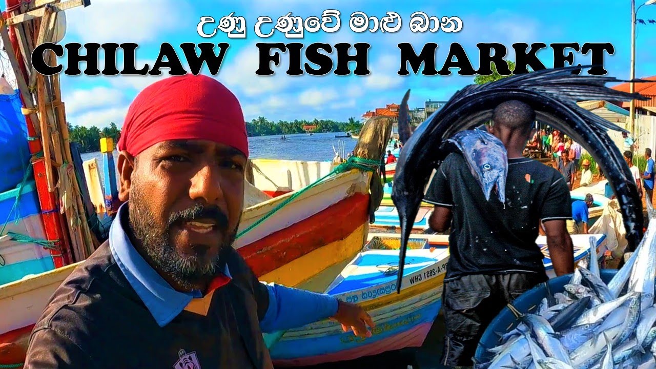 උණු උණුවෙන් මාළු බාන හලාවත මාළු කඩේ | හලාවත ලෙල්ලම | @wishwatiyubaya 🐙🦀🦞🦐🦈😲🇱🇰