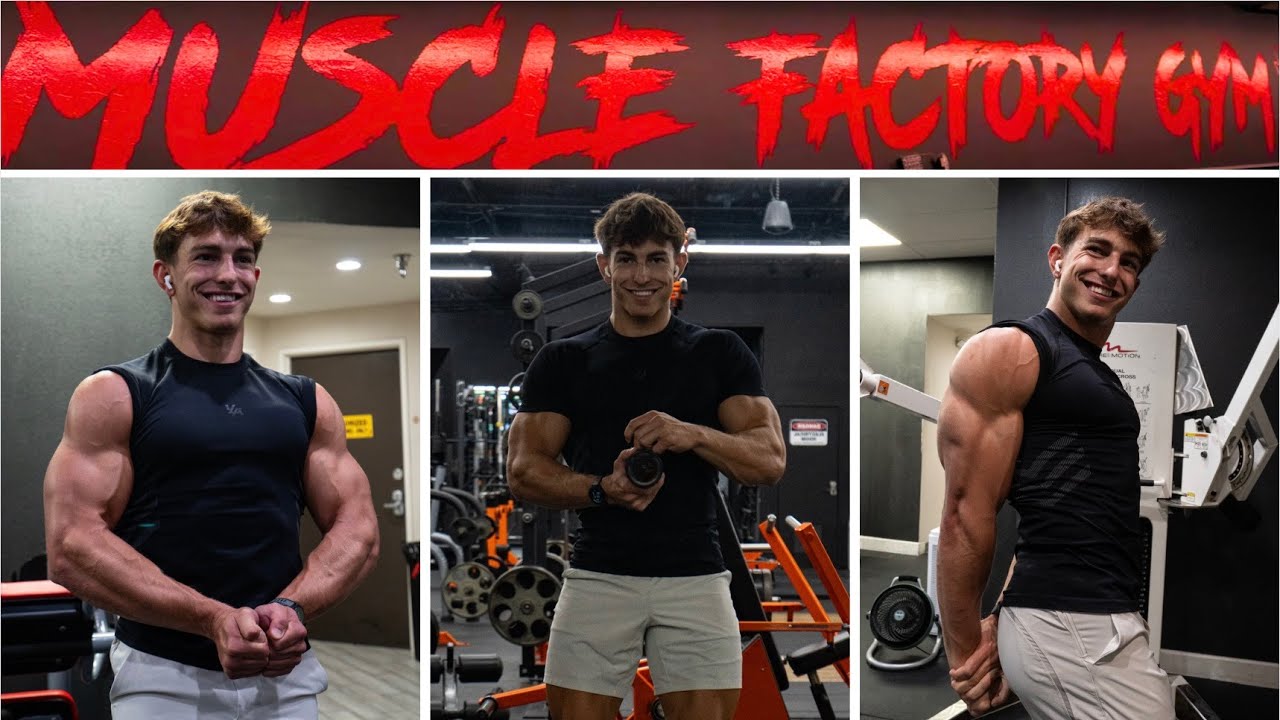 The Muscle Factory Gym in Tempe, AZ | First impressions + How to improve your bench and dips