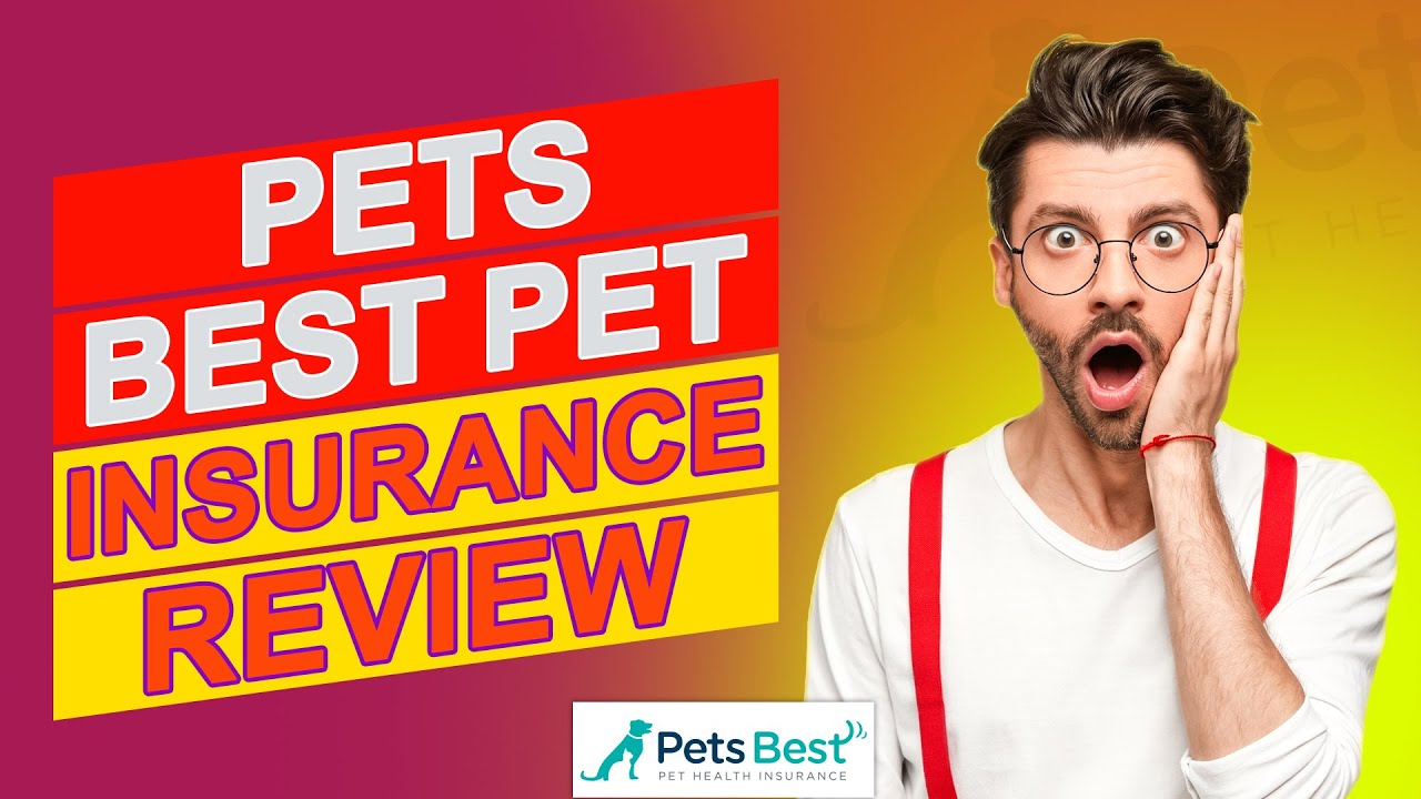 Pets Best Pet Insurance Review - Does Their Insurance Really Protect You? (Watch Before You Buy)