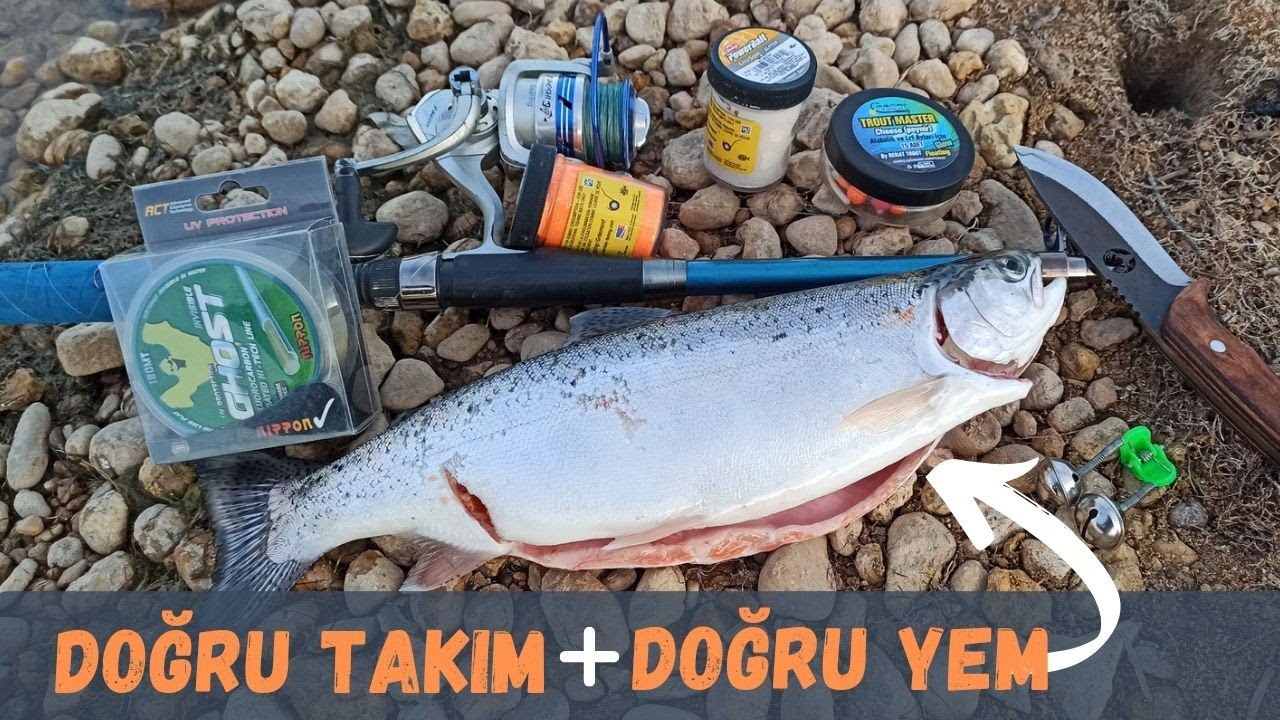 YEMLİ BALIK AVI DETAYLI ANLATIM 📝 ALABALIK YAKALAMANIN KOLAY YOLU, ALABALIK NASIL TUTULUR?