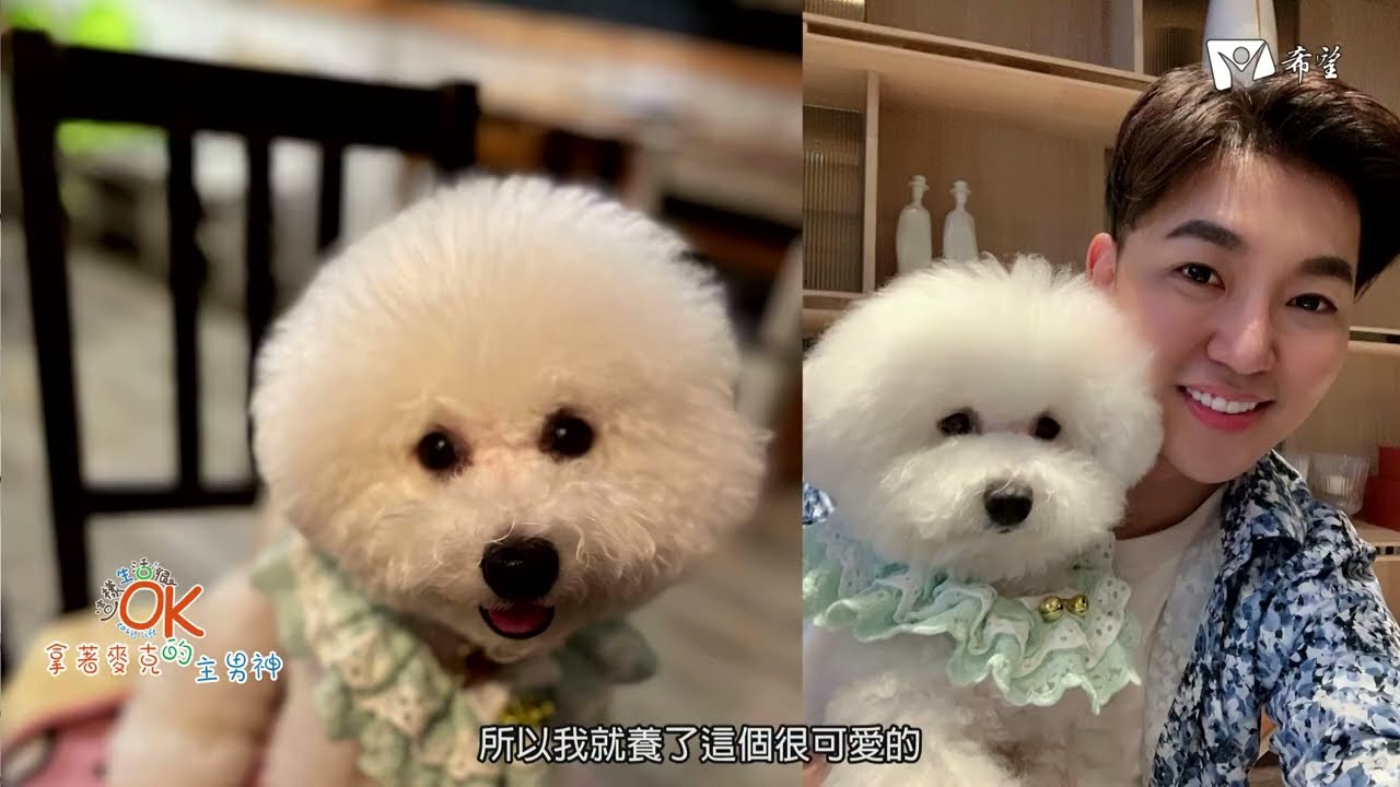 【這樣生活很OK】拿著麥克風的主持男神 | 全方位主持人何偉綸