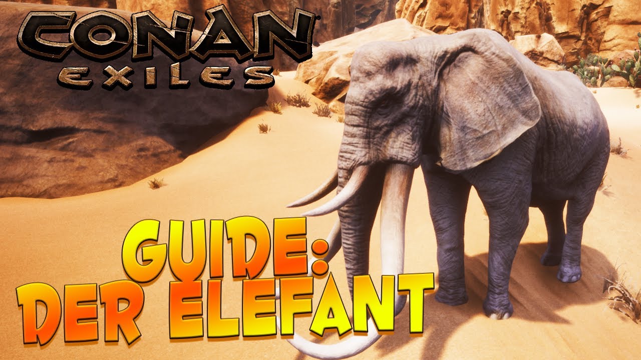 CONAN EXILES GUIDE ⚔️ Elefant - Fundort, Futter, mächtiger Elefant & Mammut zähmen ⚔️ 2019