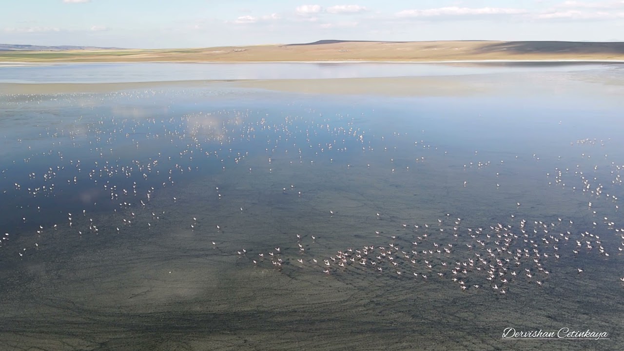 Düden Gölü, Kulu (Flamingo Diyarı) / 4K