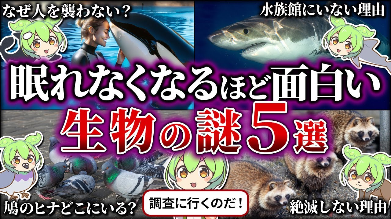 【総集編】9割が知らない生物の謎5選【睡眠用】
