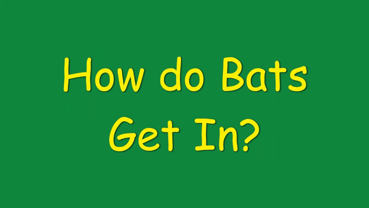 How Do Bats Get In?  A Look at a Bat Entry Point Enabled by Construction Method
