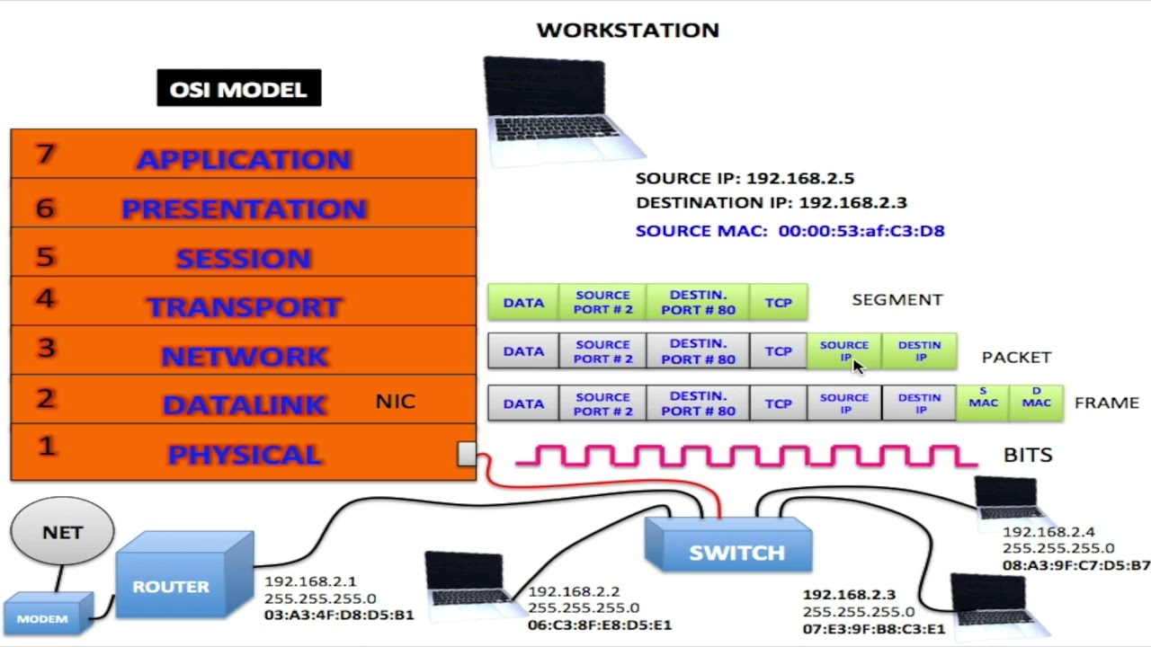 How Network Interface Cards Work: Exploring Wired and Wireless Connectivity