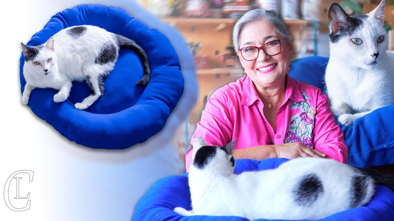 Con sólo 70 cms una cama para hacer feliz a tu gato. Fácil, rápido y útil. Para ti, regalar o vender