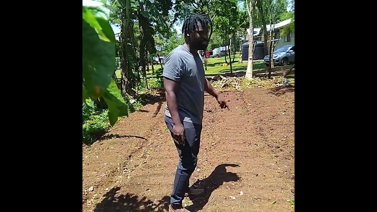 DAY ONE OF PLANTING COLLARDS ,SWISSCHARDS,SUKUMA WIKI,SPINACH.