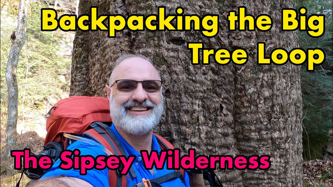 Backpacking the Big Tree Shortcut Loop Trail in the Sipsey Wilderness of Alabama