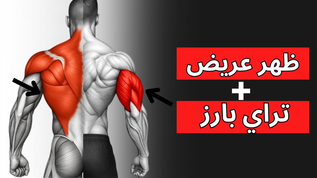 أفضل تمرين للضهر والتراي – عضلتين بيغيروا شكل جسمك