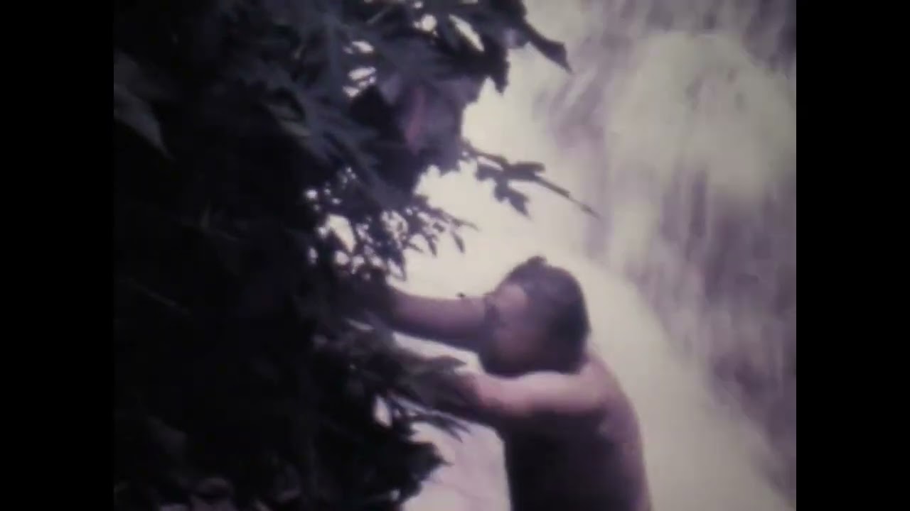 Jamaica 1979   waterfall
