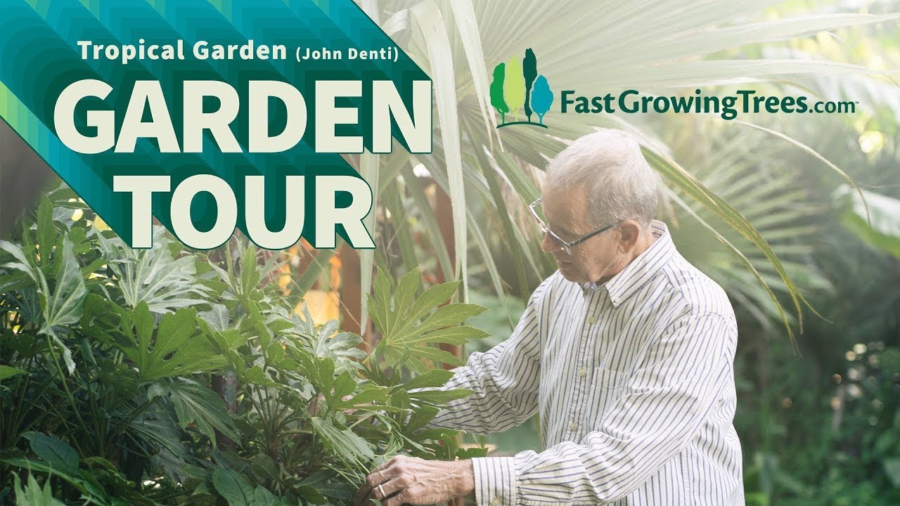 Tropical Garden Tour in North Carolina!