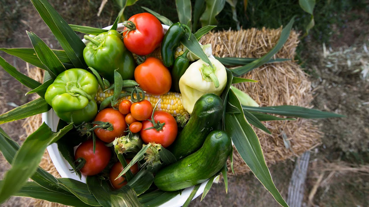How to Plan a Garden