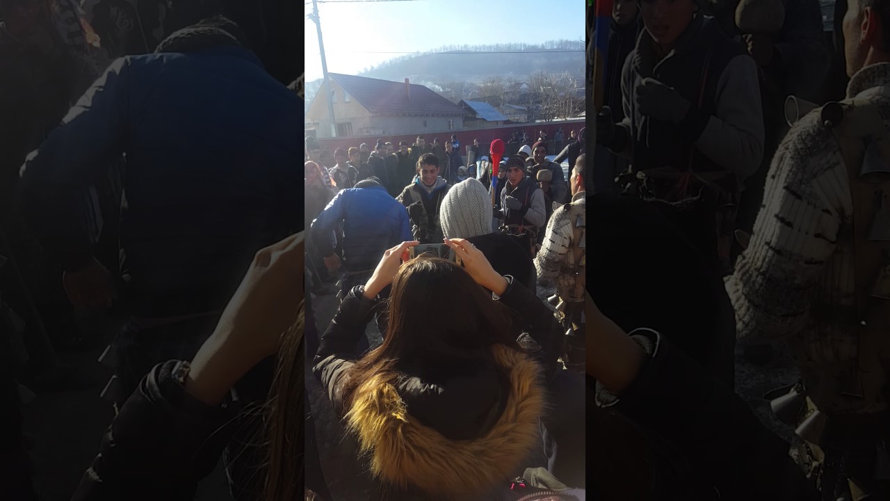 Capra   județul radeni   2017