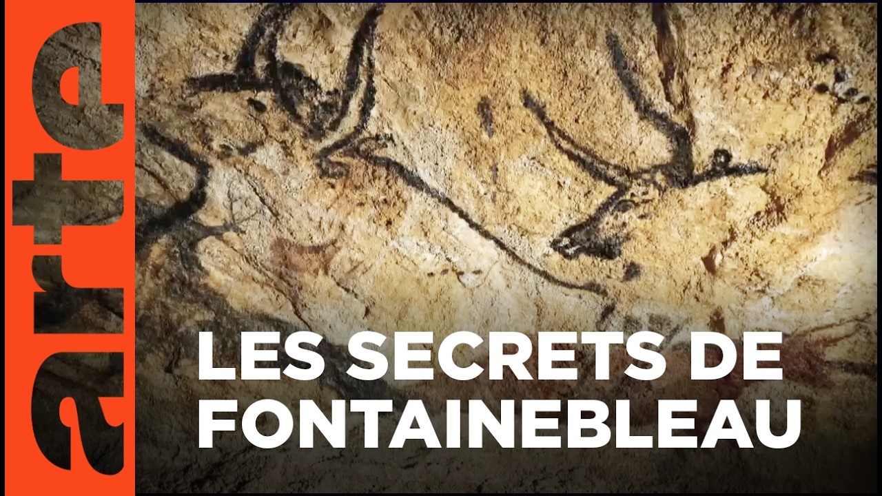 Les rochers de Fontainebleau, de grès et de force | Invitation au voyage | ARTE
