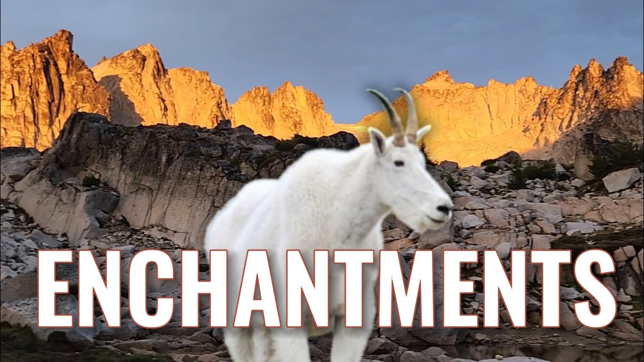Mountain goats, pikas, and jagged peaks! 9 Days in the Enchantments | Backpacking Washington