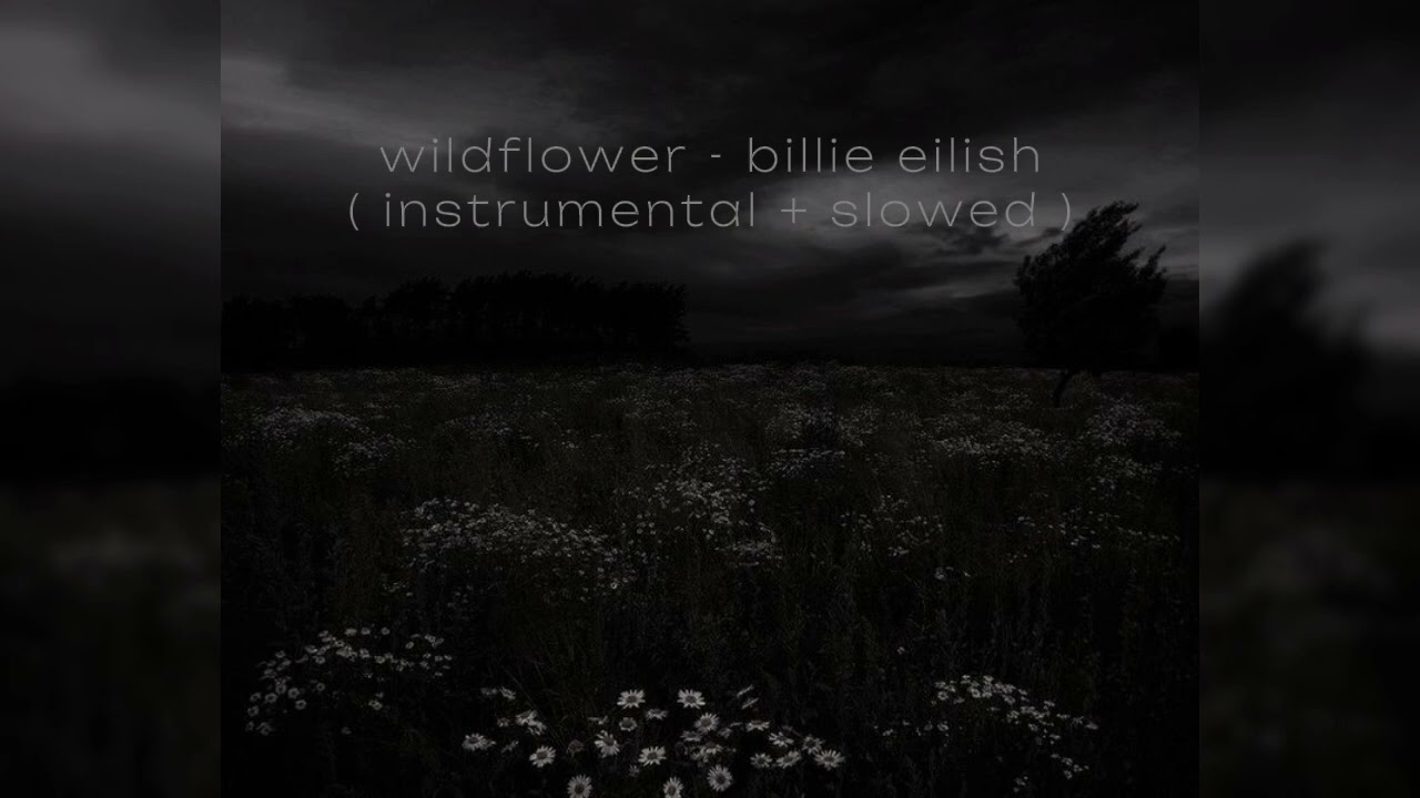 WILDFLOWER - Billie Eilish (Instrumental Slowed)