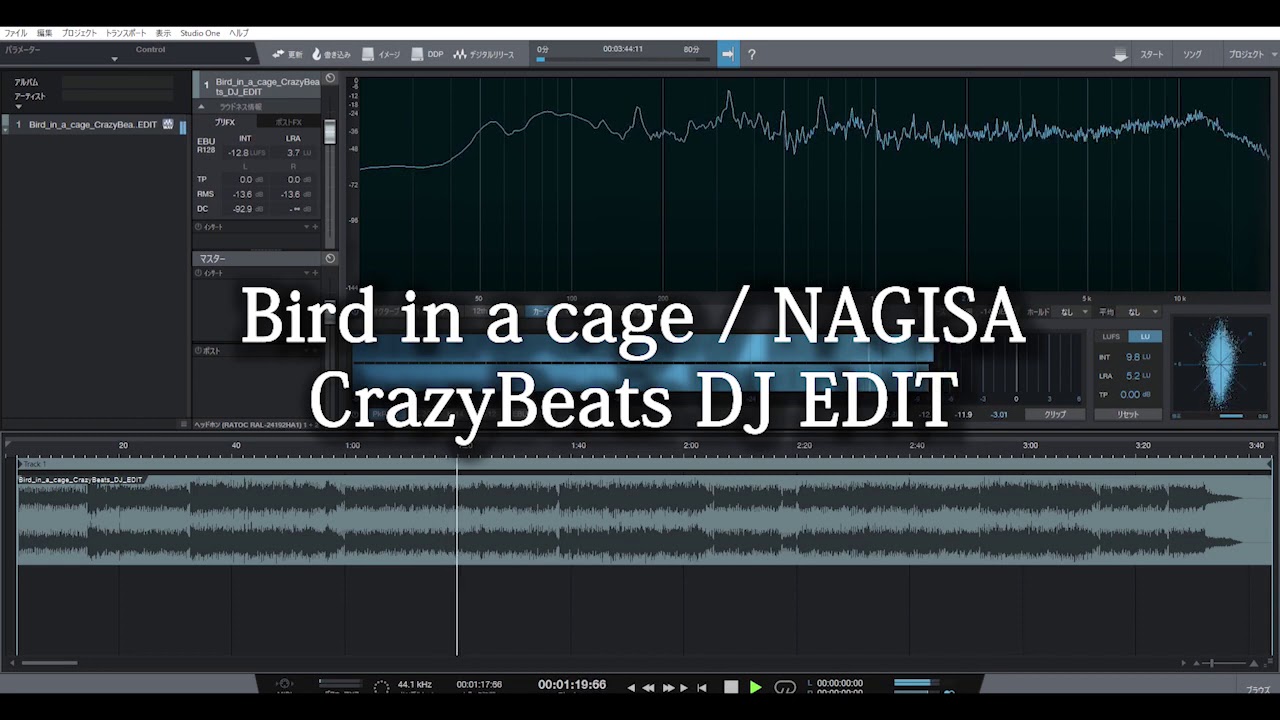Bird in a cage / NAGISA(CrazyBeats DJ EDIT)【東方ユーロビート】
