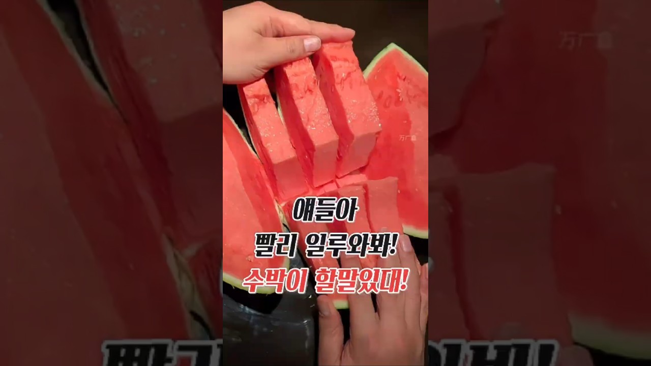 🍉 얼마나 억울했으면 ... #수박 #ASMR #팅글