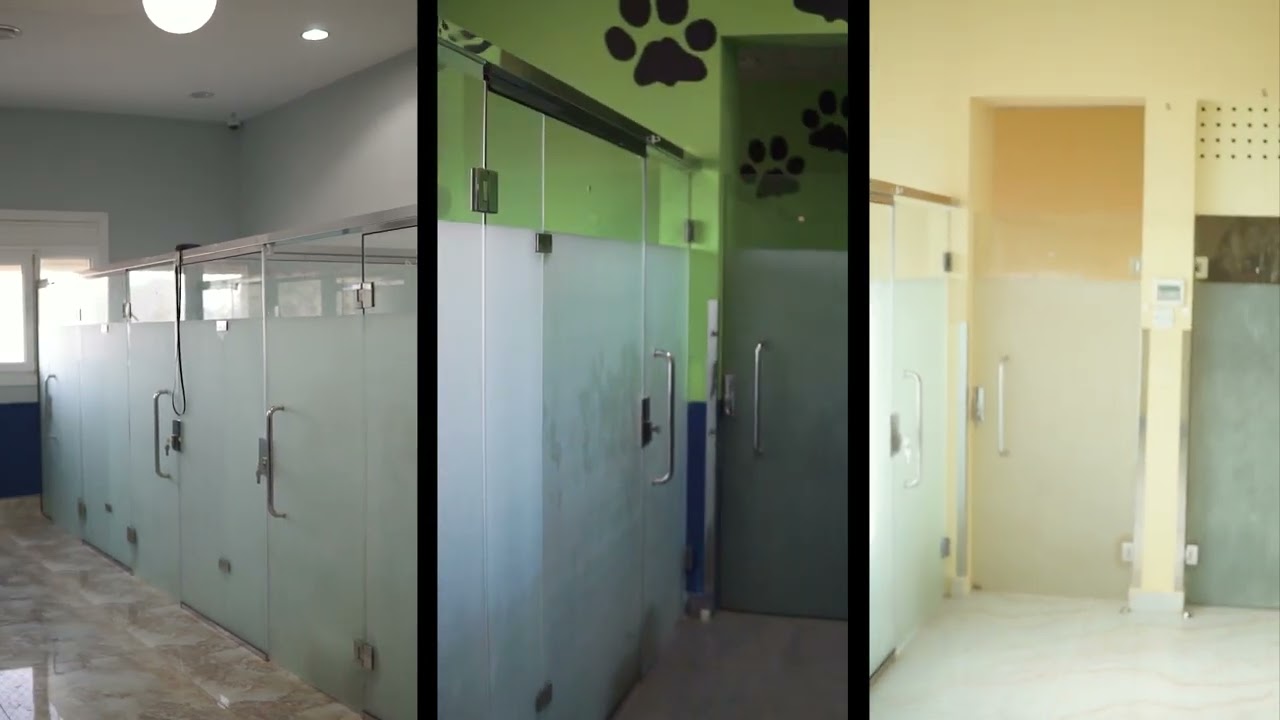 The Pet Hotel Abu Dhabi