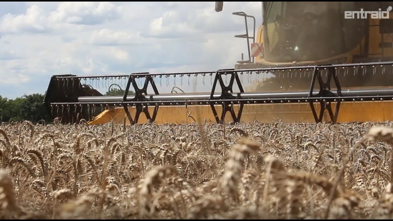 AVIS New Holland CR890 Moissonneuse batteuse