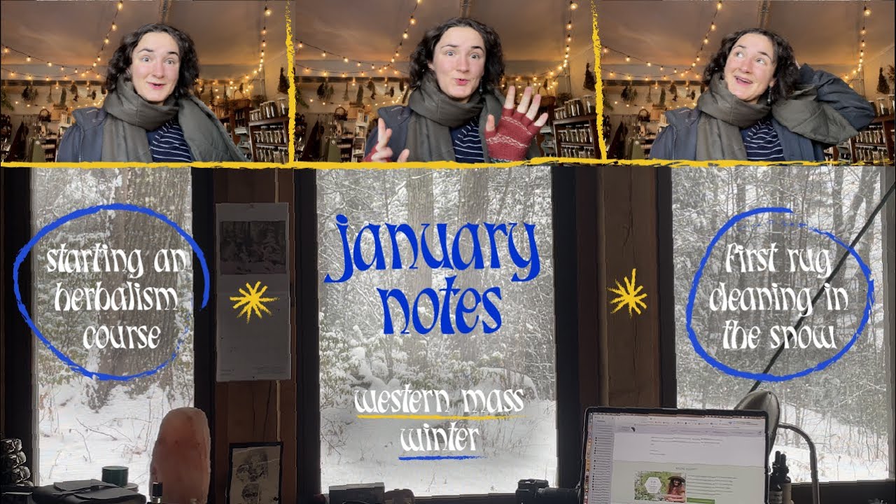 January Notes 🌬️