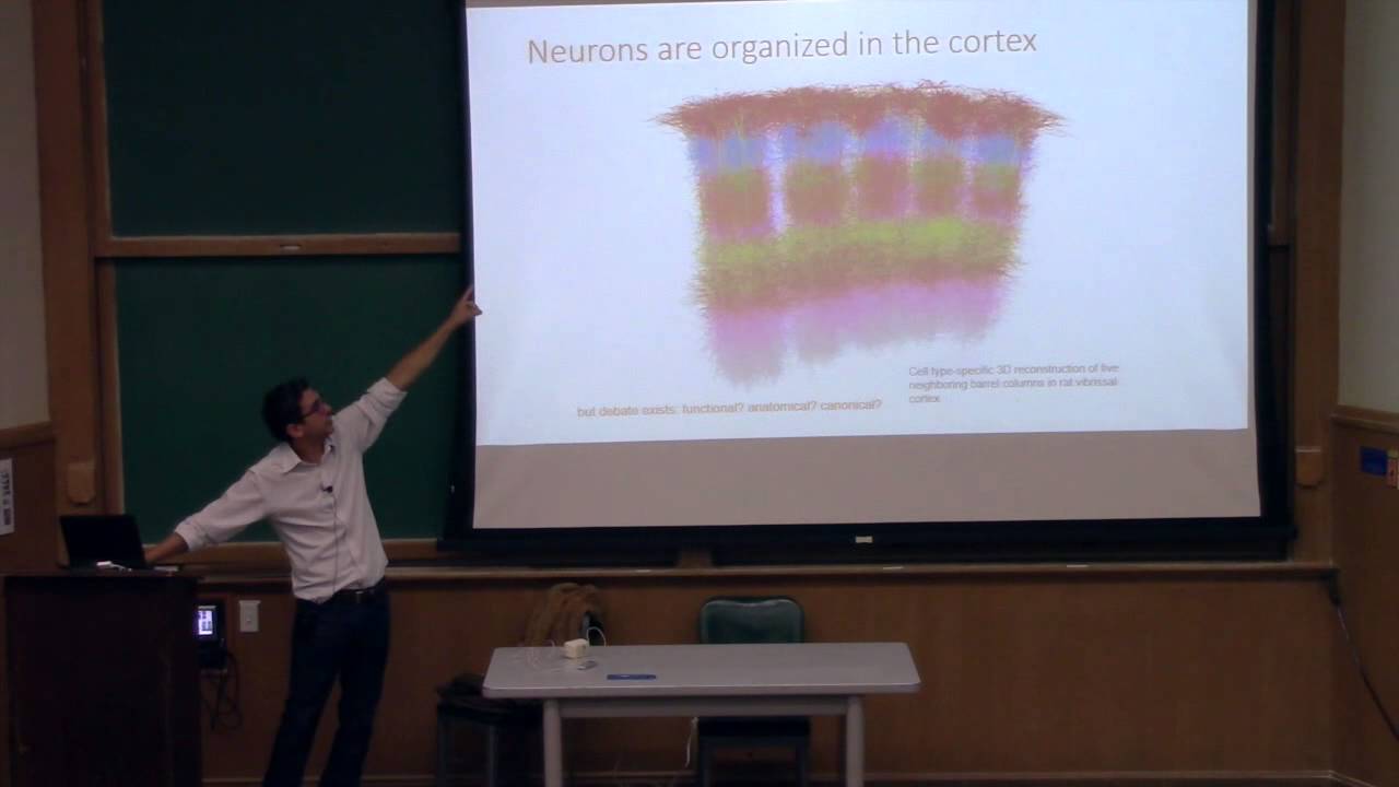 Neural Interfaces and Neural Dust -- Prof Michel Maharbiz -- Aug. 16 Lecture