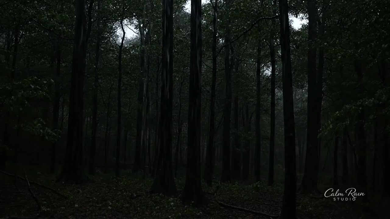 DARK NIGHT RAIN 🌧️ Heavy Rainfall in the Deep Forest (4 Hours of Sleep)