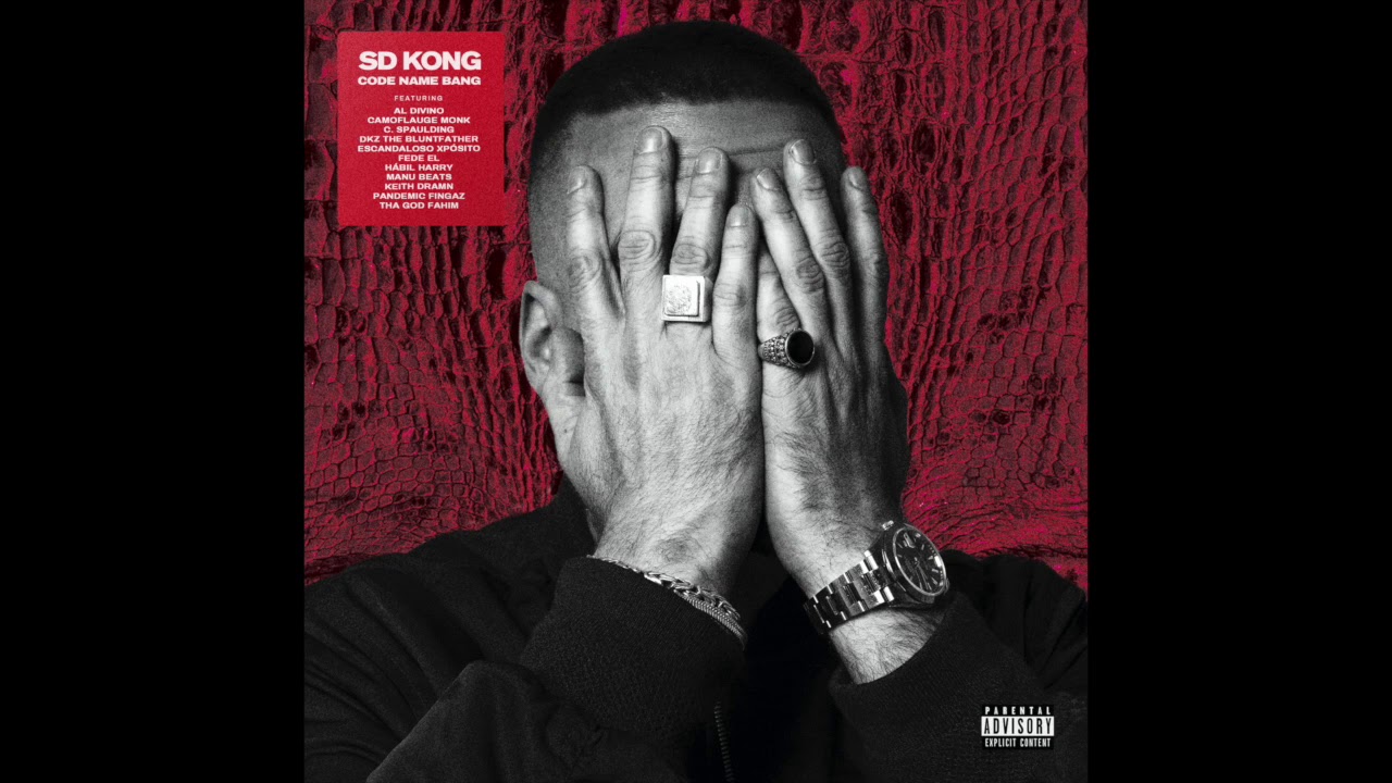 SD Kong - Brand New Day