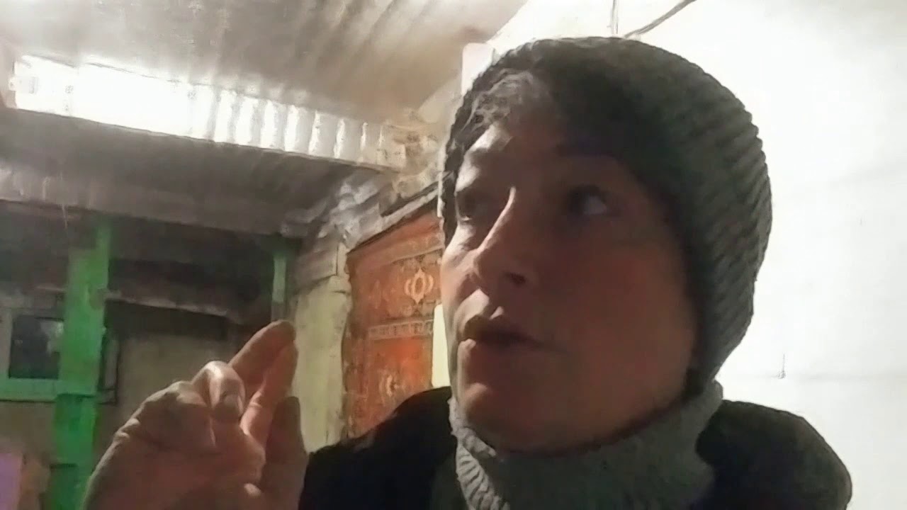 Ожирение у козы.