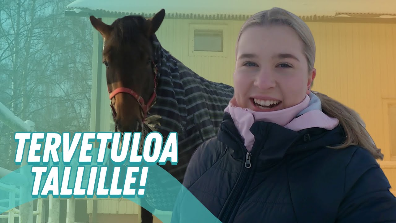 10 SYYTÄ MIKS RATSASTAN