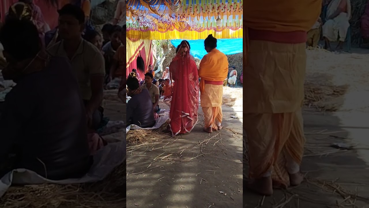 মহিলা মনসা গানের দল