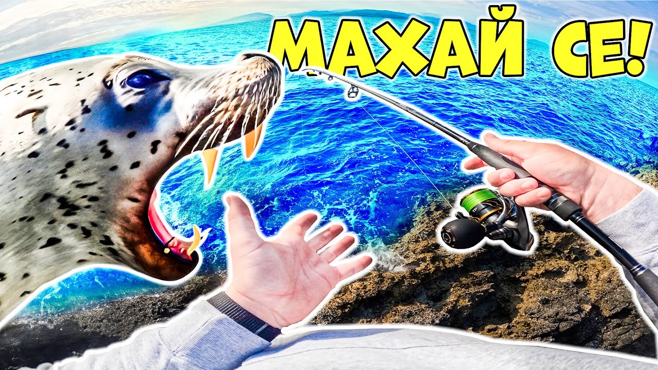МАХАЙ СЕ! ТЮЛЕН НИ ИЗПЛАШИ РИБИТЕ! РИБОЛОВ НА ЛАВРАК И ЦУПУРА на остров Лефкада
