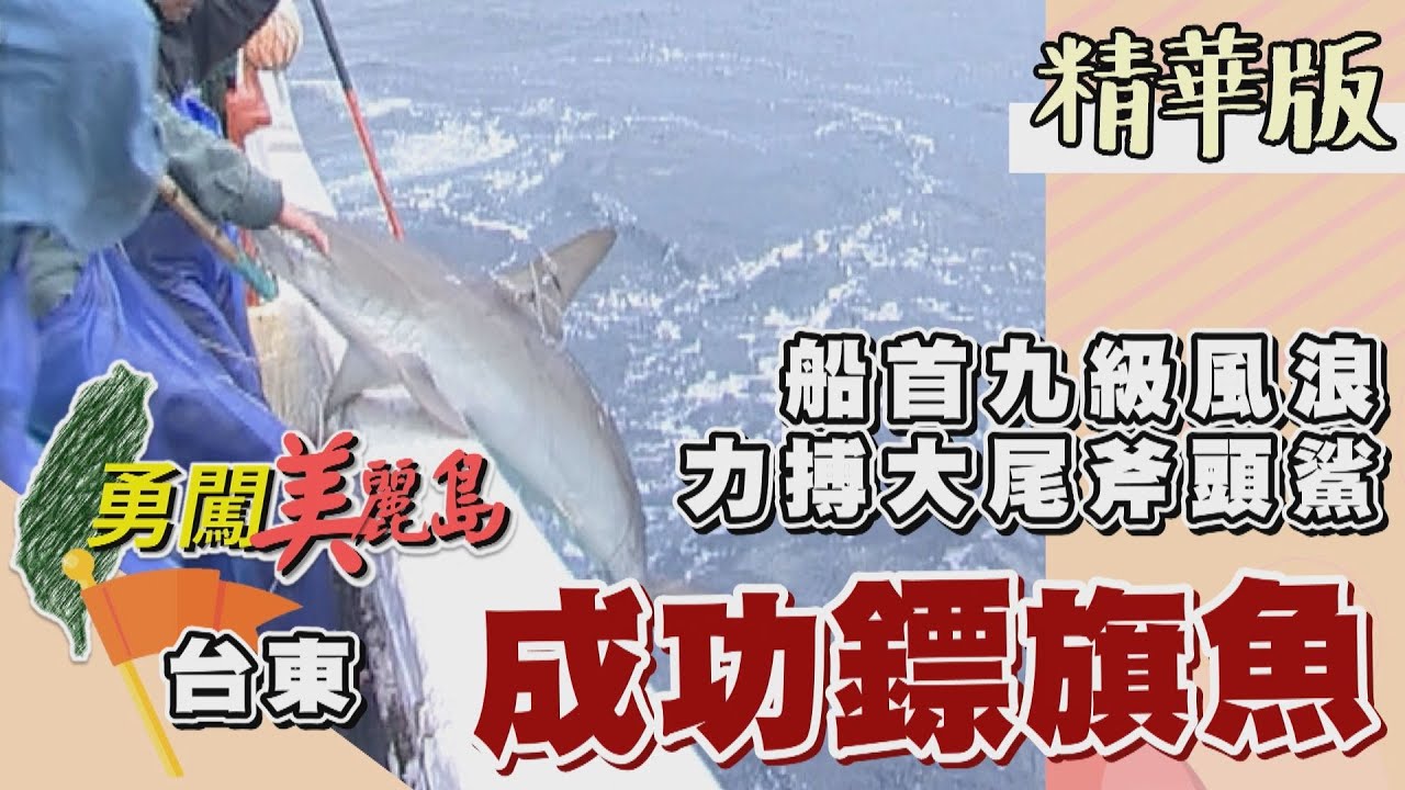 【勇闖美麗島】力搏九級巨風浪 成功鏢旗魚（222斤旗魚尾／船長鏢到斧頭鯊／驚見海豚）│2002.02.05│ 83集精華版