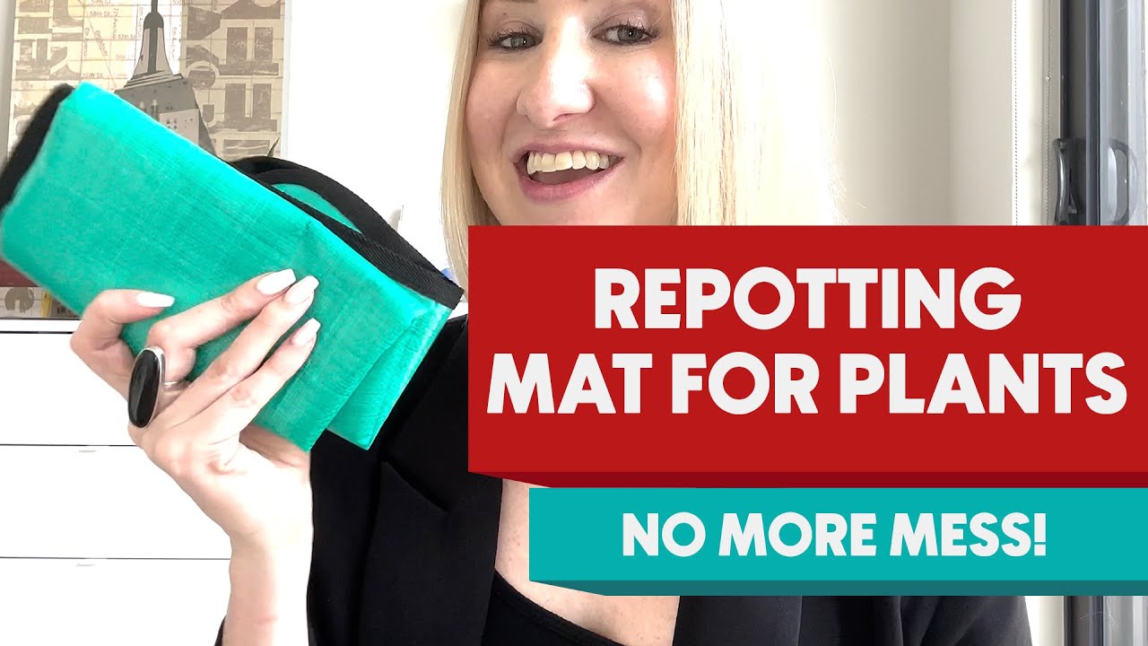 Mess Free Apartment Gardening With This Plant Mat