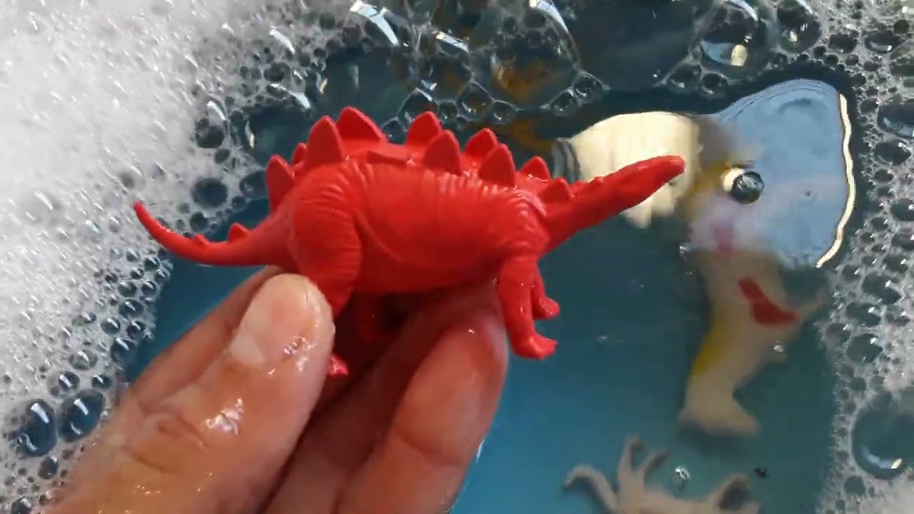 animal world animal payne in the ocean animal pool animal