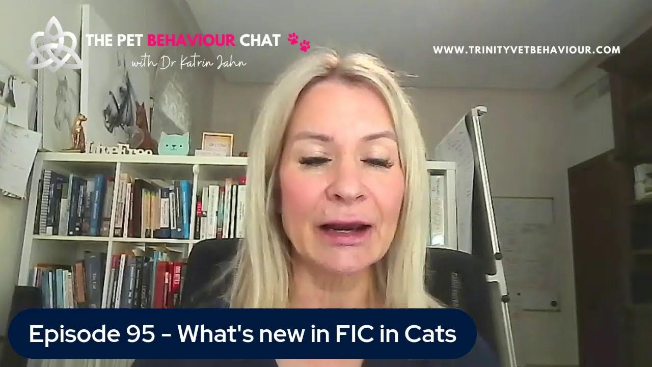 Episode 95 – What’s New in FIC in Cats